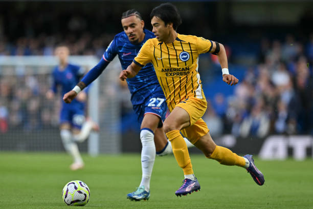 雪世界的辉 雪世界的辉