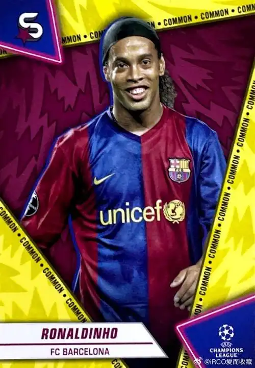 广东广州豹 广东广州豹